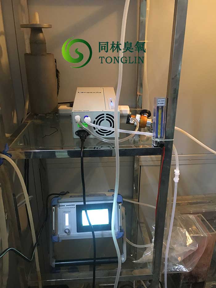 进口Longevity 香蕉视频下载发生器