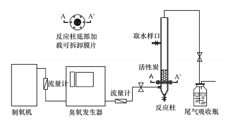 香蕉视频下载+活性炭实验方案