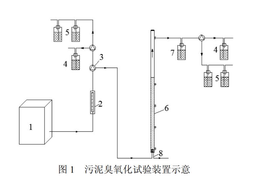 污泥香蕉视频下载化试验装置示意